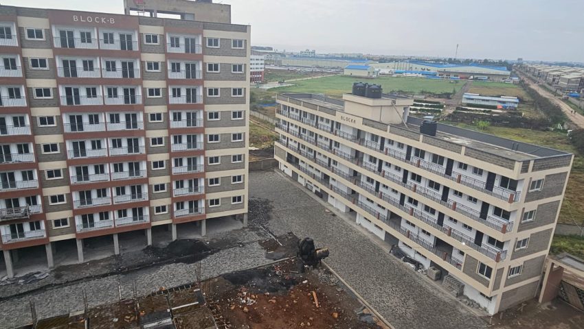 Fairvalley-Dec'24 (9)